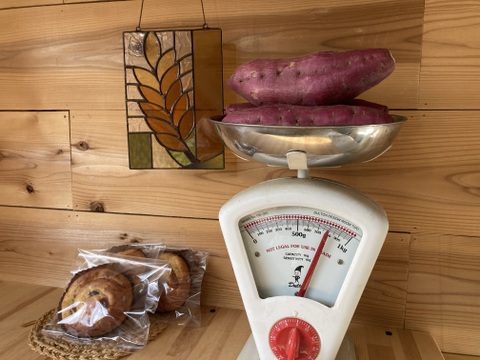 【国産小麦100％】サツマイモたっぷりのロールパン！約１０個　家庭用！軽食に、体作りサポート！
