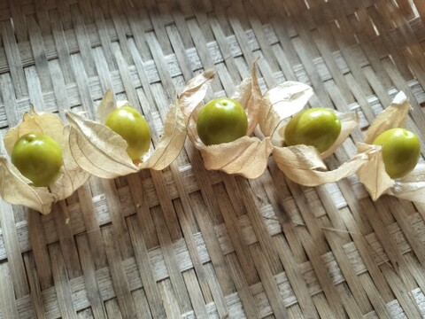 スーパーフード　食用ほおずき　食べ比べセット　100ｇずつ　味の違いをお楽しみください