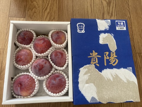 山梨県産すもも貴陽９個～１２個 (2箱)まねきねこ1/3 希少すもも、極上の味！貴陽(すもも) 1.8kg 6〜9個：山梨県産の