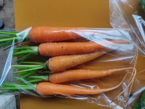 旬のお野菜セット（5～7品）クール便