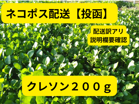 秋～冬限定】クレソン２００ｇ【ネコポス配送】　要注意事項確認