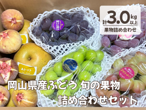 【9周年感謝祭】岡山の旬を詰め込んだ！ぶどう4種と梨・日本イチジクの豪華6種BOX