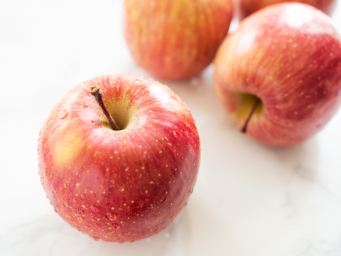 特選🍎贈り物にも！減農薬で皮ごと食べられる青森りんご「葉とらずふじ」10kg