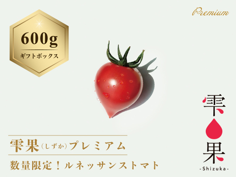 数量限定！ルネッサンストマト【雫果（しずか）プレミアム】600g・ギフトボックス