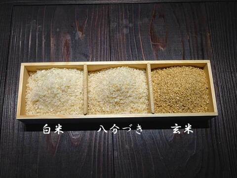 農薬不使用・無施肥　玄米　ヒノヒカリ　箱込５kg
