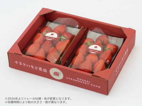 2パック｜とっても甘〜い大粒いちご！ぐんまが誇るやよいひめ！500g
