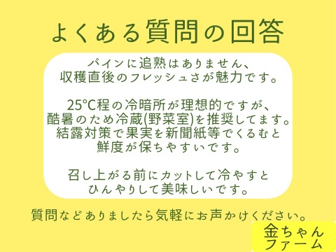 【甘酸ジューシー】定番のパイン『ジュワリー』約4.0kg