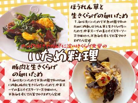 高知県仁淀川町産『(生)あらげきくらげ』奇跡の水で育てた「夏場しか食べれない贅沢」さらに“極上”の品質だけを選び抜いた“premium“な”生きくらげ”。季節限定。大容量2kg(500g×4パック)