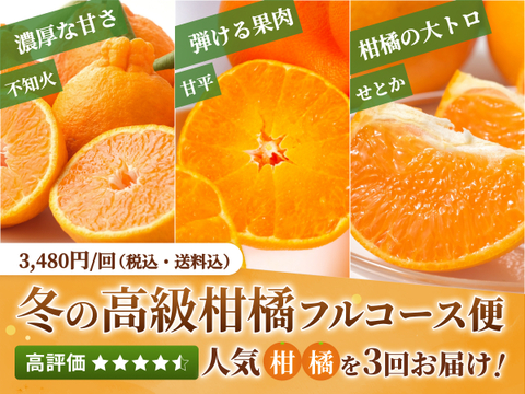 【限定200セット】冬の高級柑橘フルコース便🍊（食べチョク公式）