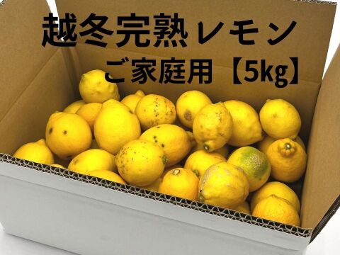 家庭用 越冬完熟レモン 瀬戸内産レモン S～2Lサイズ 5㎏