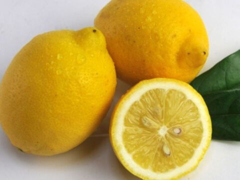 家庭用 越冬完熟レモン 瀬戸内産レモン S～2Lサイズ 2㎏