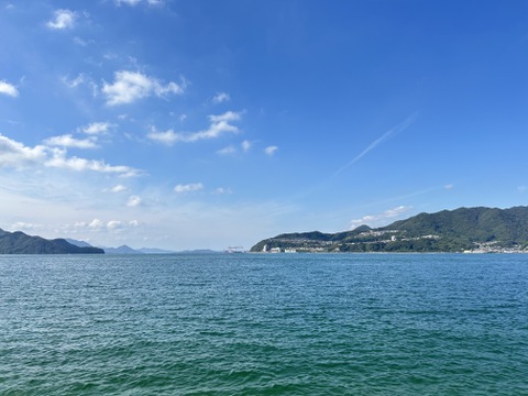 〔大人気！小玉♪〕🍂今だけ！秋の始まりを告げる🍂🍊 極早生みかん ３キロ【農薬節減、除草剤不使用】太陽の恵みを浴びて 秋の入口だけの特別な味わい✨