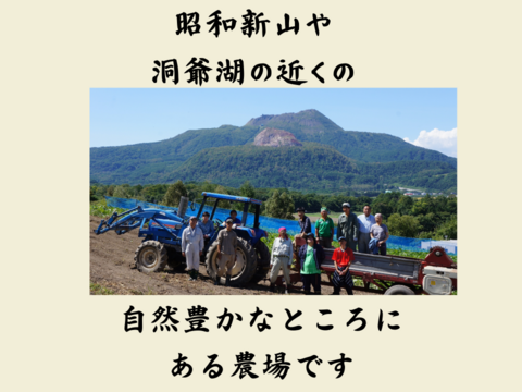 農薬不使用の有機大豆1２kg 優しい味わい 6ｋｇ袋   北海道の大地で育った「とよまさり」1月20日ころから発送予定