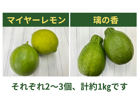 匿名発送！マイヤーレモン　70個　香川県産 山形県白鷹町産】楽しい♪食べ比べ🍋璃の香＆マイヤーレモン 1kg：山形