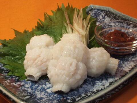★雑誌で紹介されました★徳島県産「湯引きはも」化粧箱入り