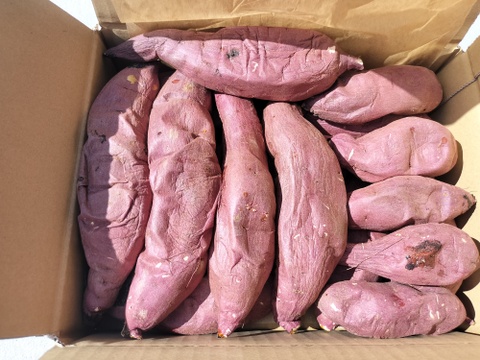 【冷凍】茂賀屋の焼き芋2㎏＋α