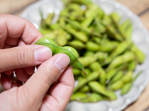 大人気！黒豆の本場丹波篠山の黒枝豆 下旬さや枝豆大盛り/3ｋｇ