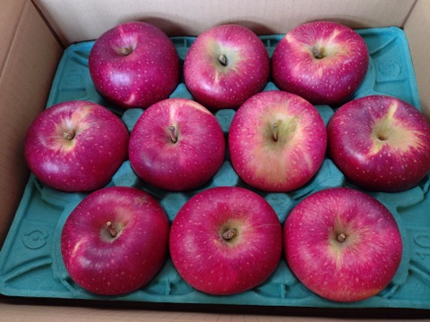 終わります🍎【ふじに飽きたらこれ】 シナノホッペ 3キロ箱 6〜15玉 商品ID44438 長野県 信州 安曇野 リンゴ 幻 幻のリンゴ 予約 希少 旬