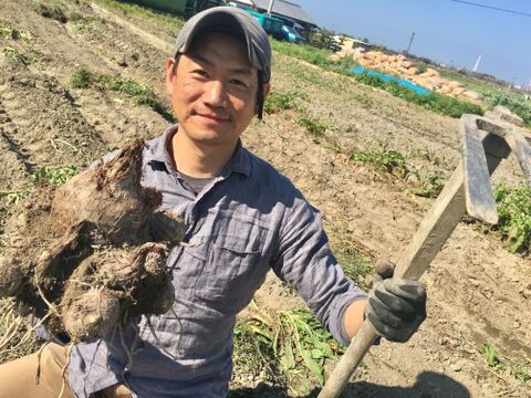 【旬の最後にお得に里芋!!】自然栽培圃場のさといも【5kg】こってり美味しすぎ!!