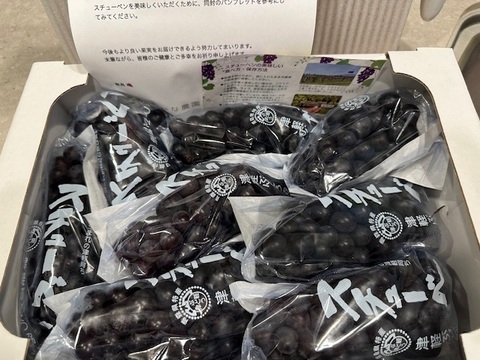 甘さ凝縮！濃厚ぶどうスチューベン（普段使いにピッタリ秀品）約2kg