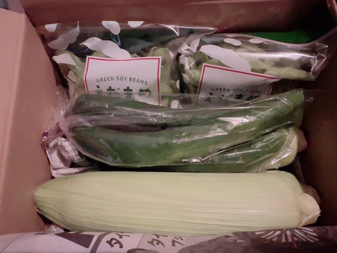 【夏ギフト】【朝どれ】極甘とうもろこし（３本）＆濃厚枝豆（２袋）のセット