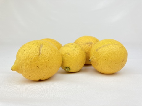 【有機JAS認証！】レモン島からお届け♪皮まで♪オーガニックレモン2kg