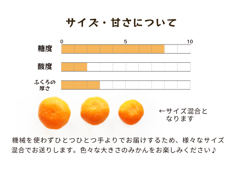 蔵出しみかん中生5kg｜和歌山県海南市下津町の特産品、蔵出しみかんの希少な中生品種