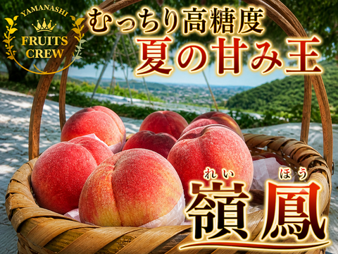 【むっちり高糖度"夏の甘味王” 嶺鳳】本場山梨の品種指定キャンペーン🍑弾力食感×濃厚な甘み✨お試し約1㎏🍑7月上旬～中旬発送🍑