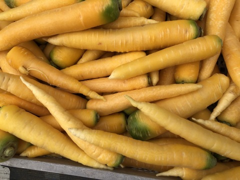 6キロ　Ｌサイズカラフル人参