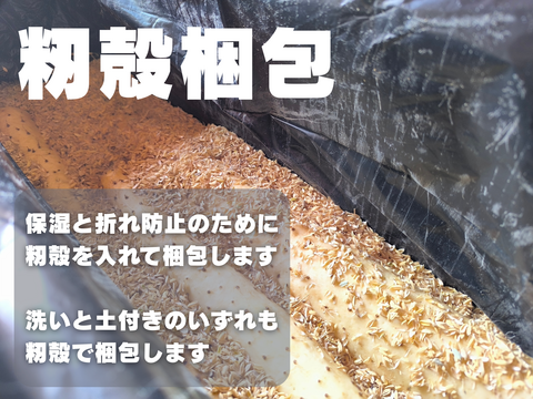 【青森県十和田産】【初掘り]土付き 短形 自然薯 3kg