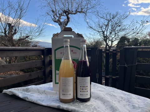 【ゲン担ぎ福袋】ワイン用ぶどうで作ったジュース　赤白品種各1本　飲み比べセット　720ml✖️2本