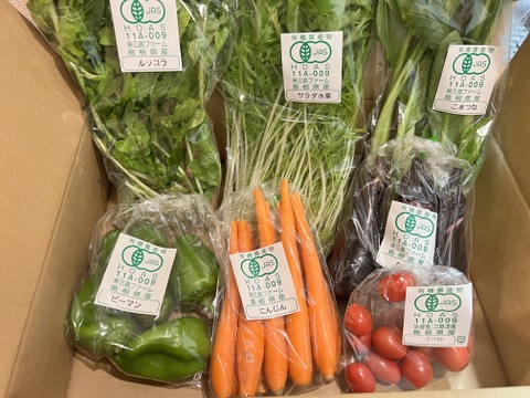 採れたて！旬の有機野菜の詰め合わせ（お試し6種）