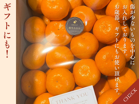 超完熟宮川早生⭐︎屋根かけ越冬みかん　3キロ2Sサイズギフトにも！　有田みかん　早生みかん