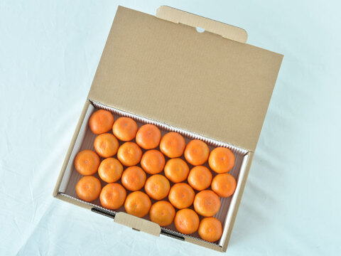 有田みかん　船林-ふなりん-[24個入]（Sサイズ相当）贈答用 超特選品　赤秀　和歌山 311-fr24