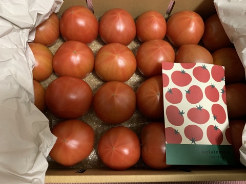 【野菜ソムリエサミット金賞】濃厚！ウエタトマトのトマト(4キロ箱)