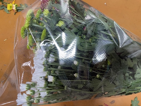 【数量限定！】スプレーマム25本セット！（5～6品種）