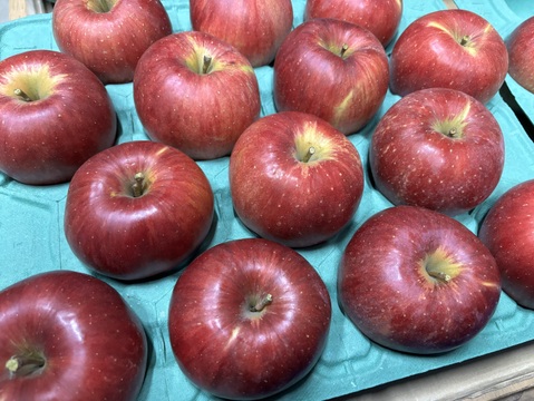 【シナノスイート】5kg(13〜20玉)入り🍎完熟りんご