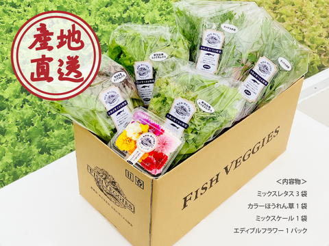 【パーティ用】ブーケサラダセット　新鮮！採れたて！化学肥料/農薬不使用だから安心して食べられる