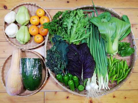 【農薬化学肥料不使用】ミカン入り野菜セット【８種類以上の野菜】【金曜日発送】【熨斗(のし)対応可】【８０サイズ箱】