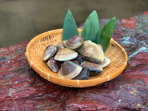 【魚介の福袋】漁師が詰めた手軽に食べられる海鮮いろいろセット