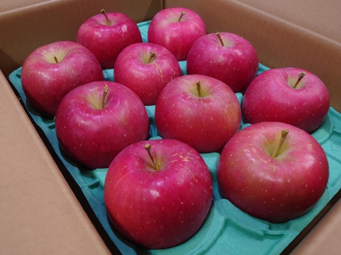 《予約受付》ひろさきふじ（早生ふじ）3kg（7個～12個）　青森県産りんご　家庭用