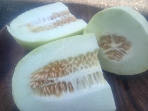 絹ウリ　農薬肥料不使用、自家採種