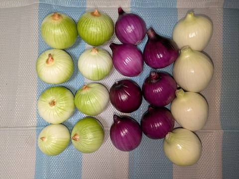 博多の夏野菜セット　7品