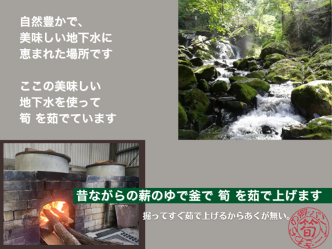 あーひーページ　筍水煮真空パック4kg 長橋 国内産 真空 筍 水煮 230g ( たけのこ / タケノコ