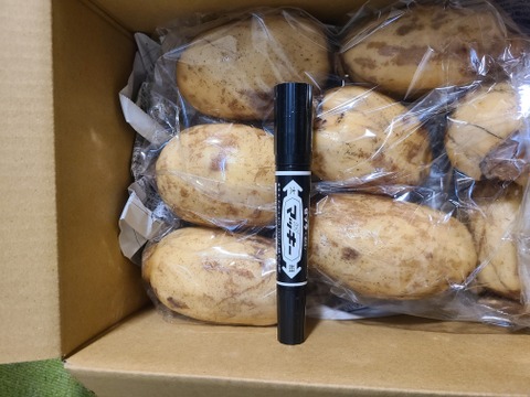 レンコンのシャトーブリアン!?【久保の蓮根】最高の鮮度で食べてみませんか？　大小バラ　１キロ　徳島県産