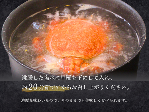 【特大サイズ】アサヒガニ　1kg ｜迫力満点＆濃厚味噌！宮崎直送