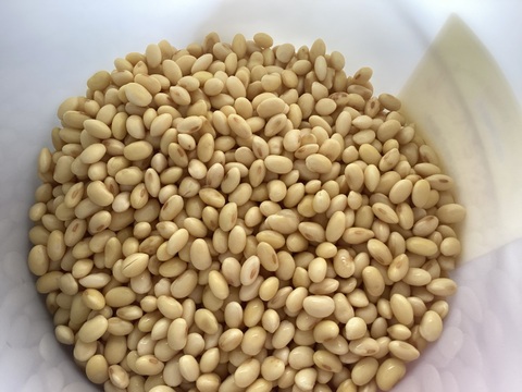 【自然栽培】新大豆(中粒入り)
