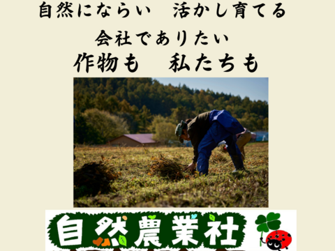 使いやすい1kg梱包　農薬不使用の有機大豆4kg  優しい味わい北海道の大地で育った「とよまさり」　1月20日ころから発送予定