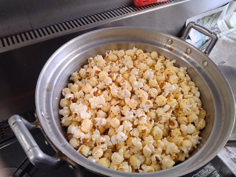 大量　まるポップコーン(500ｇ×6袋）＋おまけ100ｇ