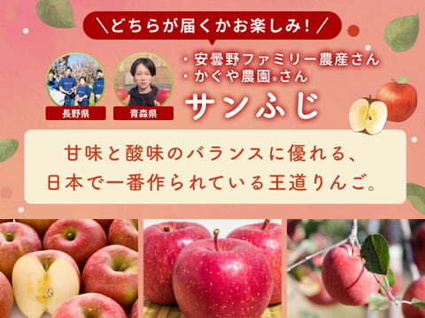 【限定150セット】3品種りんご食べ比べセット（食べチョク公式）